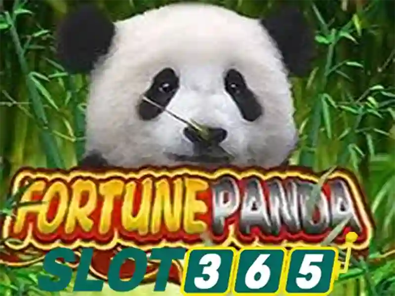 Slot365 - Nền tảng casino trực tuyến hàng đầu tại Việt Nam Giao diện nhà cái hoàn hảo