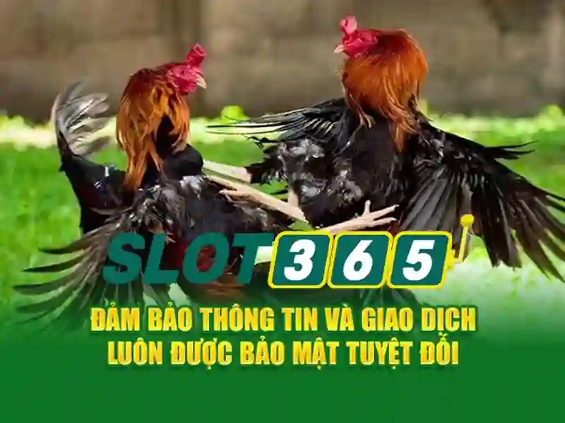 Trải nghiệm người chơi và trò chơi