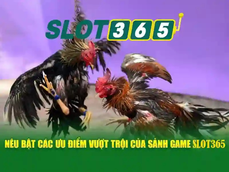 Tiện ích và giao diện người dùng