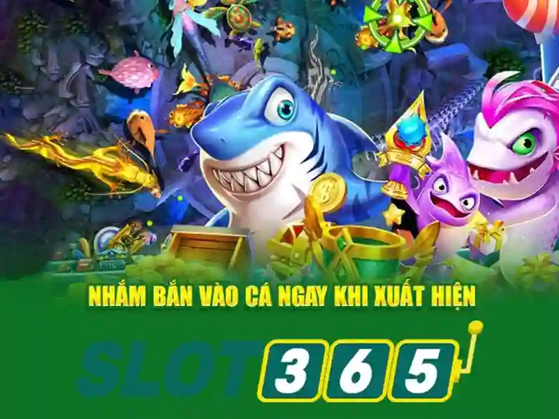 Giao diện và trải nghiệm người dùng