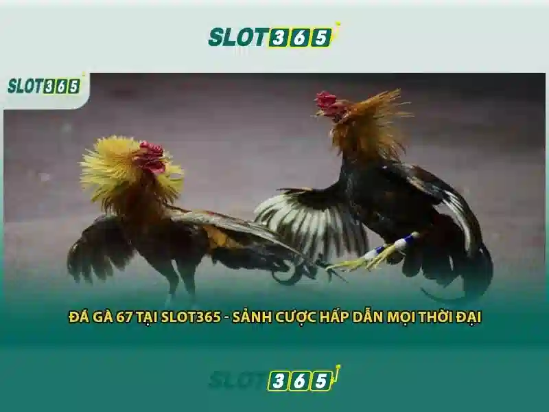 An toàn dữ liệu và phần mềm