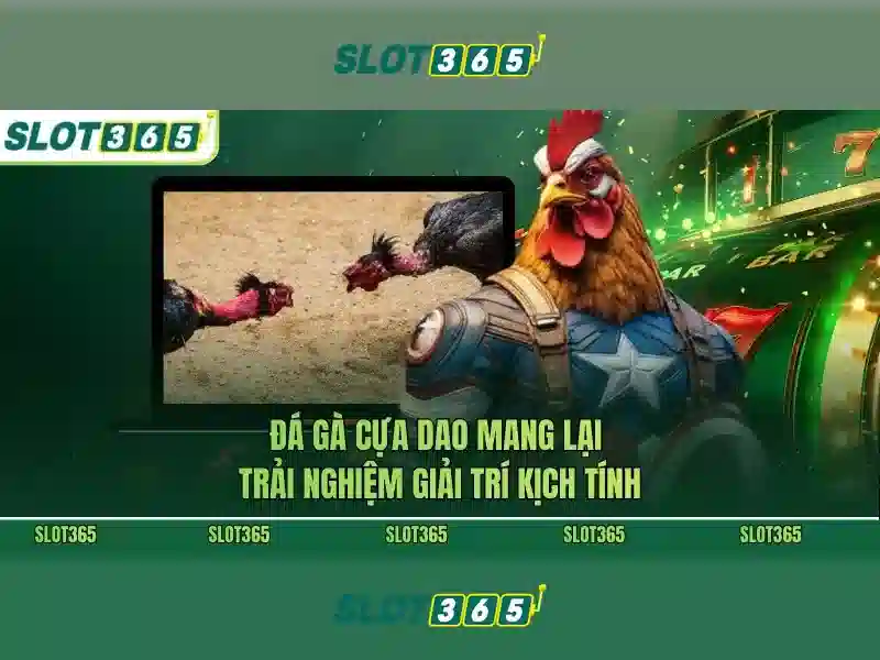 Trải nghiệm người dùng và tính tương thích