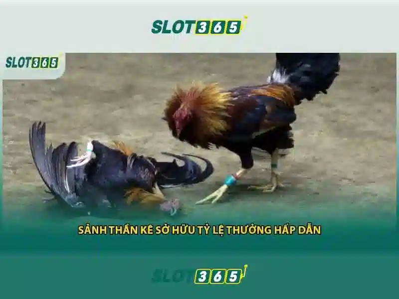 Danh sách trò chơi đa dạng và cập nhật liên tục