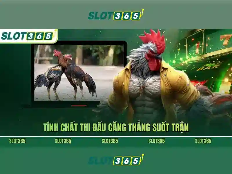 Giao diện người dùng và trải nghiệm di động