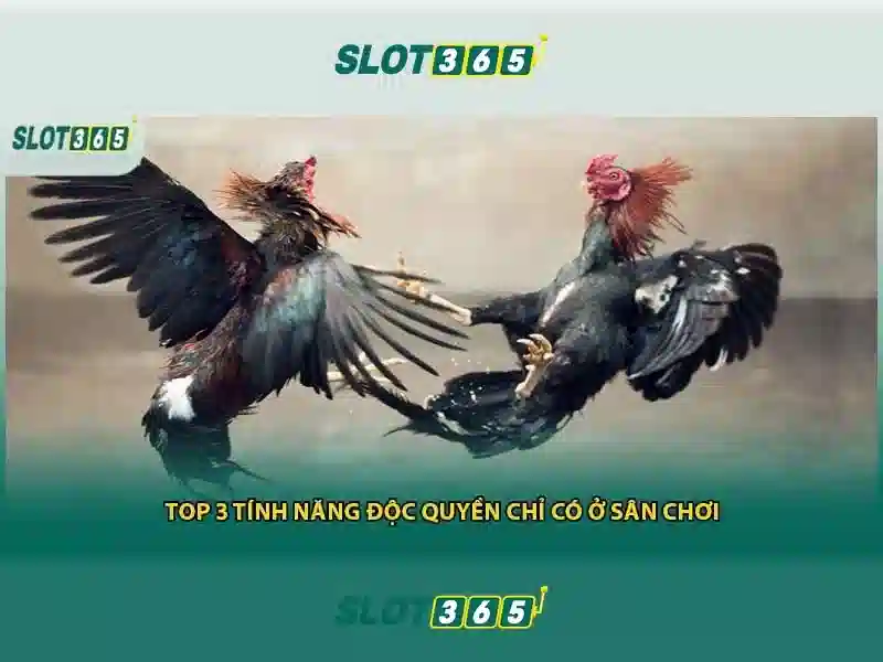 Lý do người chơi chọn Slot365