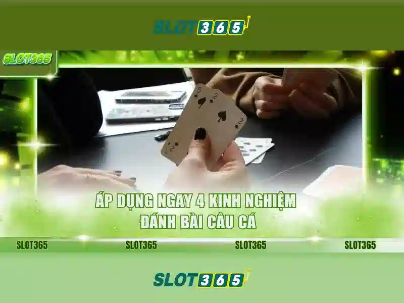 Slot365 là gì và tại sao nổi bật