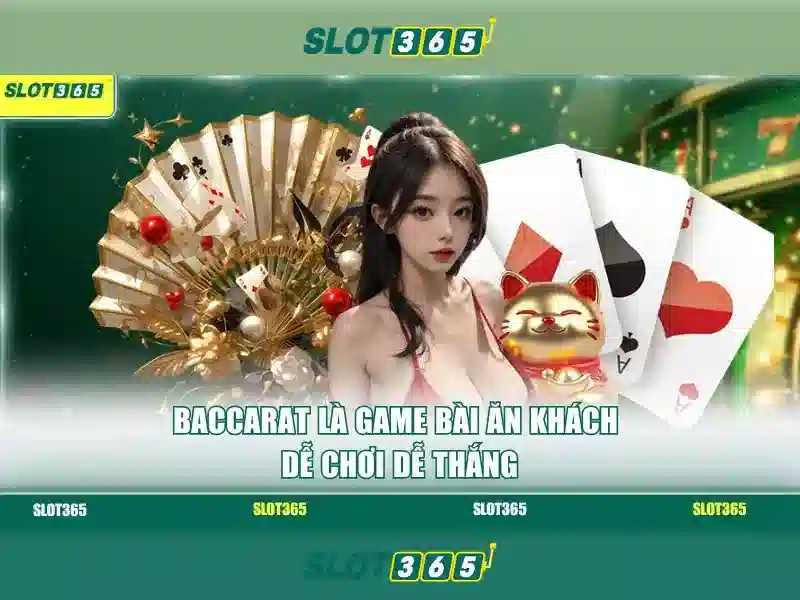 Hỗ trợ khách hàng và tài khoản