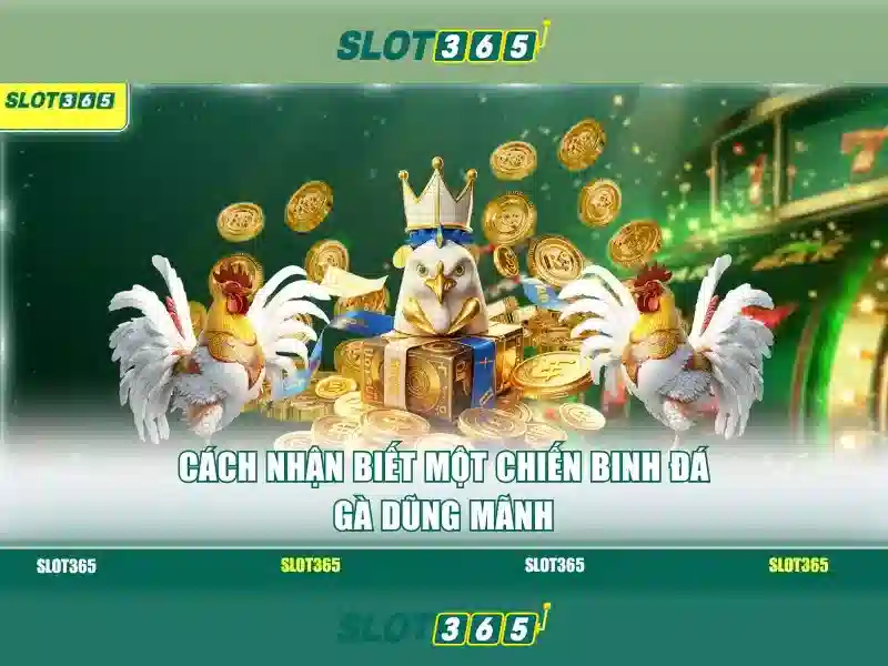 Giao diện nhà cái hoàn hảo