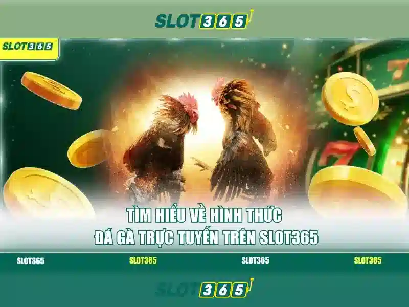 Slot365: Tổng quan về nền tảng slot trực tuyến phổ biến Giao diện nhà cái hoàn hảo