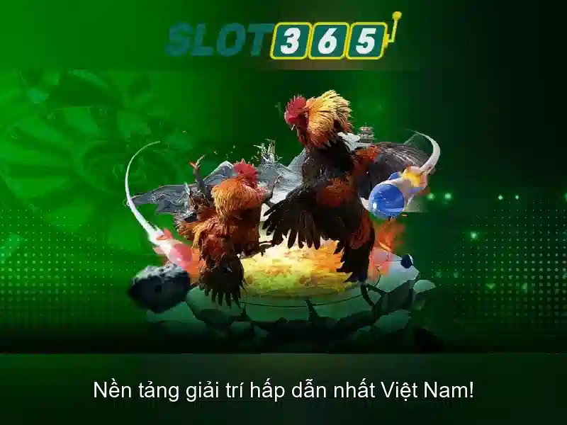 Giao diện và trải nghiệm người dùng