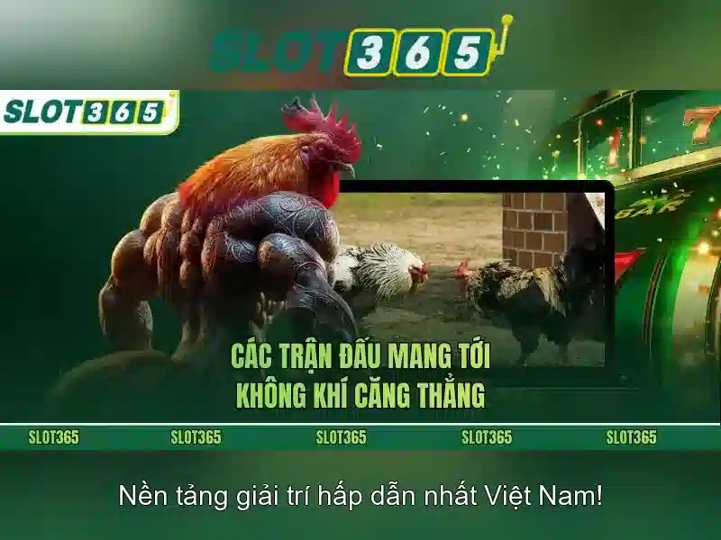 Bảo mật, thanh toán và hỗ trợ
