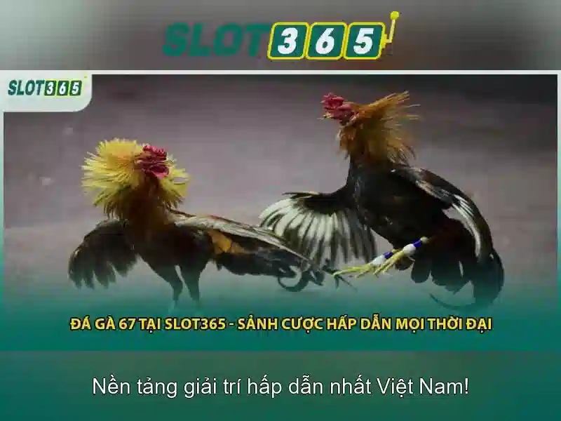 Slot365: Nền tảng slot trực tuyến đỉnh cao cho người chơi Việt Giao diện nhà cái hoàn hảo