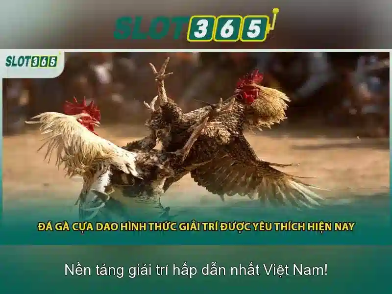 Slot365 là một nền tảng giải trí quay số trực tuyến