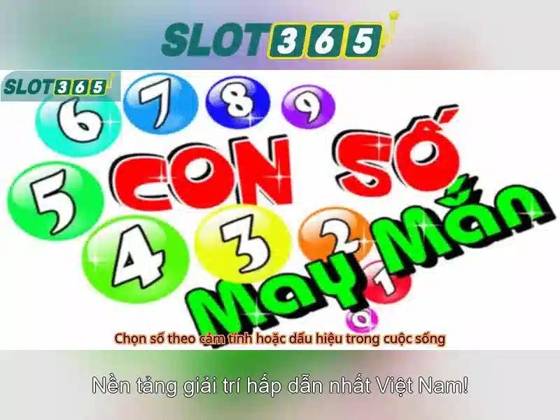Slot365: Nền tảng cược trực tuyến an toàn và tiện ích Giao diện nhà cái hoàn hảo