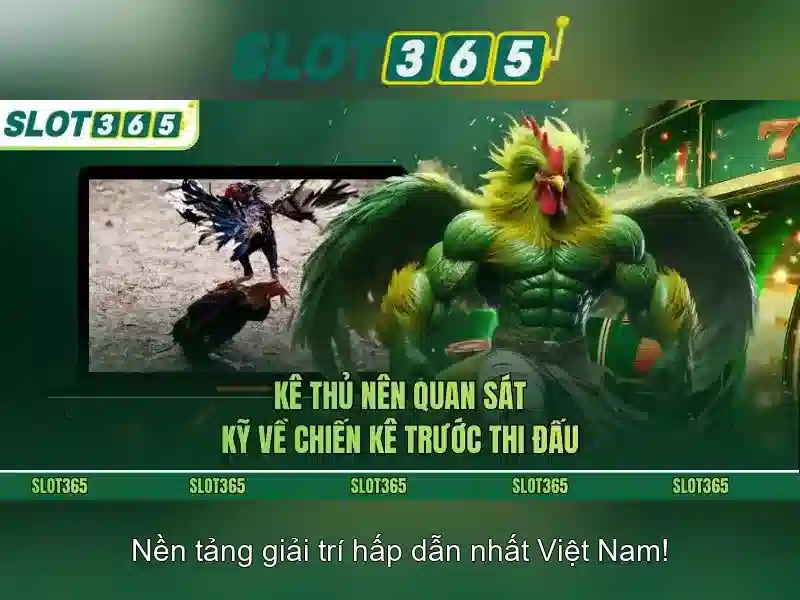 Kết nối xã hội và trải nghiệm người chơi tại Slot365
