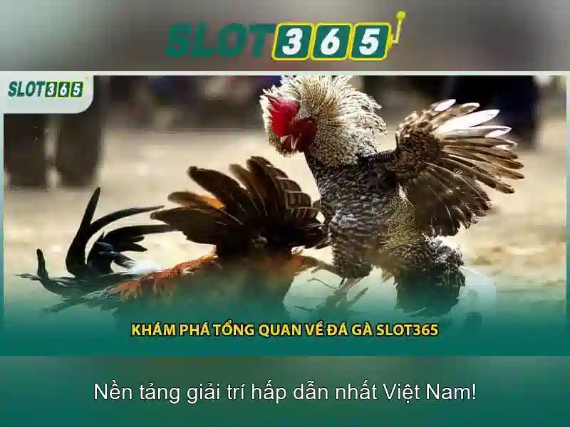 Slot365 - Nền tảng casino slot trực tuyến đáng tin cậy