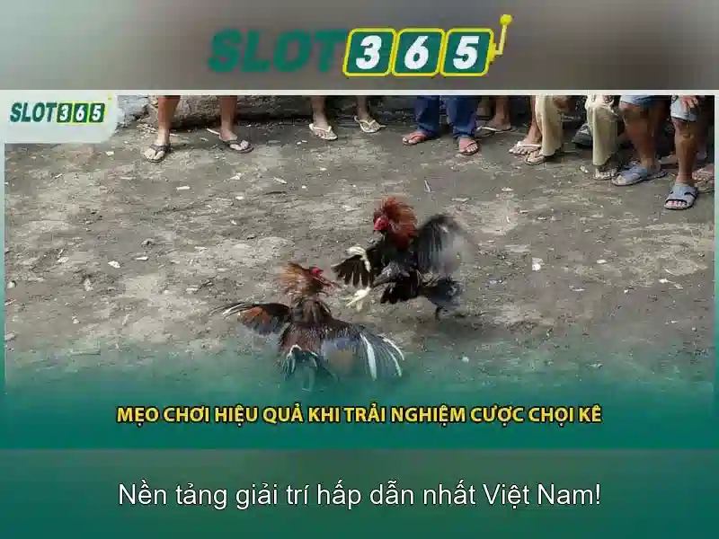 Trò chơi và chủ đề trên Slot365
