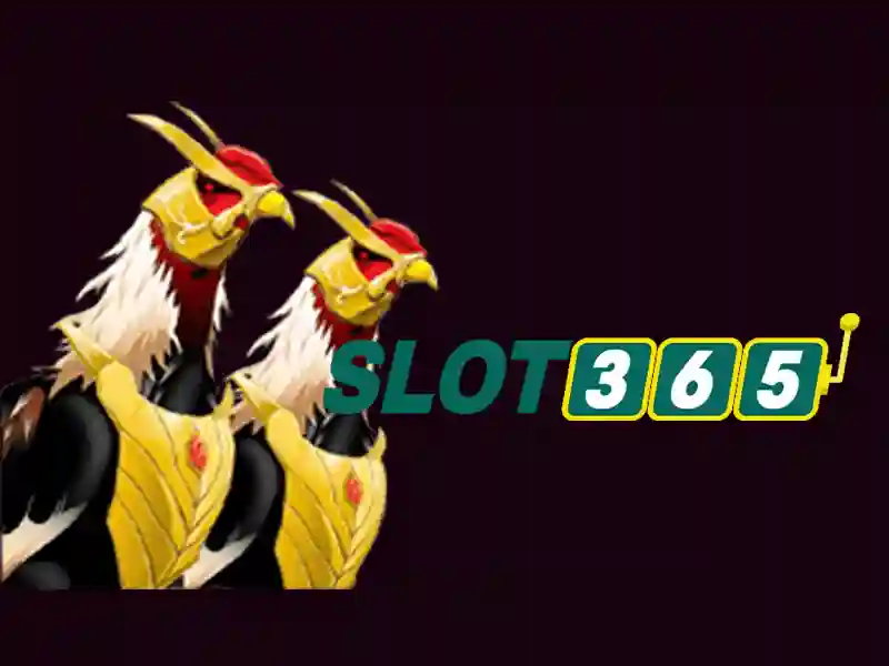 Slot365: Trải nghiệm đánh bạc trực tuyến đáng tin cậy