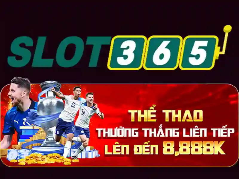 Trải nghiệm người dùng và giao diện