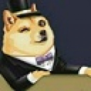 MrDogeCoin